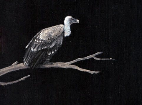 Martijn van der Linden schilderde deze gier voor de achterkant van Slavenhaler