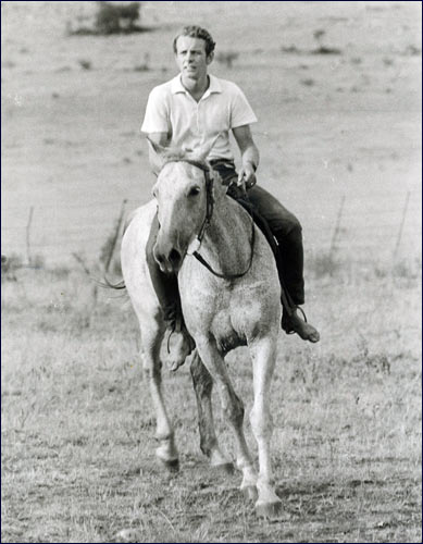 Rob op een paard in Afrika